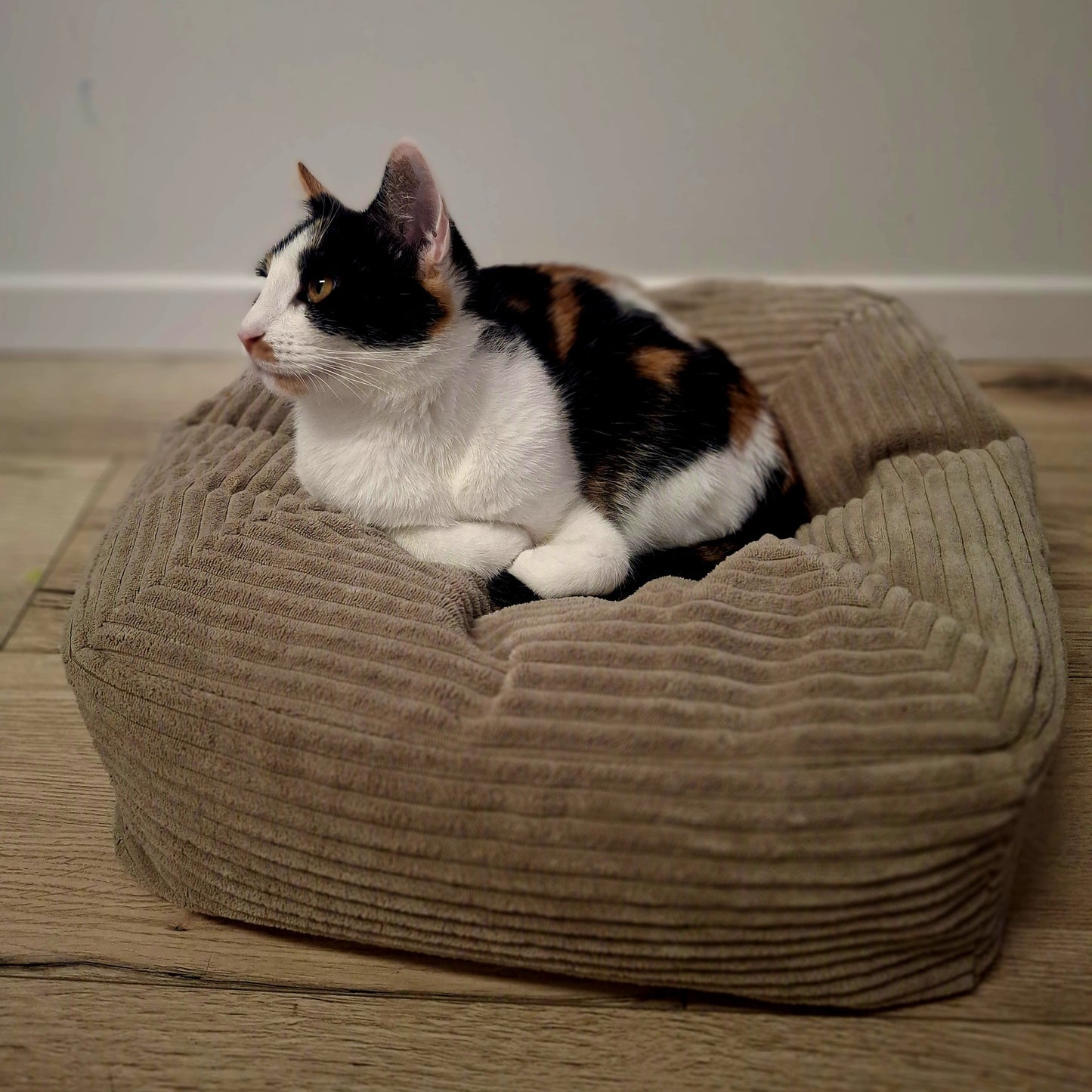 MEOWSQUARE - legowisko dla kota lub małego psa - Pufa sztruks Beżowy